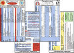 COVID-19 Beatmungs-Karten Set 2020 (2 Karten Set) - Respirator-Einstellungen: COVID19 mit ARDS oder mit respiratorischer Insuffizienz - SARS-CoV-2 w sklepie internetowym Libristo.pl