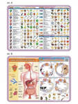 Podkładka edukacyjna 056 Anatomia Człowieka. Pasożyty Człowieka, Układ Pokarmowy, Witaminy w sklepie internetowym Libristo.pl
