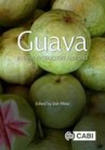 Kniha Guava w sklepie internetowym Libristo.pl