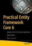 Practical Entity Framework Core 6 w sklepie internetowym Libristo.pl