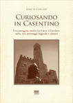 Curiosando in Casentino. Una passeggiata insolita tra il sacro e il profano: storia, arte, personaggi, leggende e curiosità w sklepie internetowym Libristo.pl