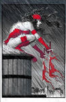 Elektra: Black, White & Blood Treasury Edition w sklepie internetowym Libristo.pl