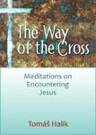 Way of the Cross: Meditations on Encountering Jesus w sklepie internetowym Libristo.pl