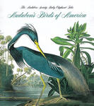 Audubon's Birds of America w sklepie internetowym Libristo.pl