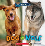 Dog or Wolf (Wild World: Pets and Wild Animals) w sklepie internetowym Libristo.pl