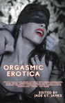 Orgasmic Erotica: Erotic Adult XXX Short Stories Featuring Gangbangs, Anal, BDSM, Threesomes, Lesbian, BDSM, First Times, Daddies, Rolep w sklepie internetowym Libristo.pl