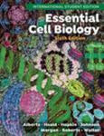 Essential Cell Biology with Ebook, Smartwork, and Animations, ISE – International Student Edition, Sixth Edition w sklepie internetowym Libristo.pl