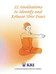 22 Meditations to Identify & Release Your Fears w sklepie internetowym Libristo.pl
