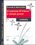 Proverbi & modi di dire. Campania. A mamma d''e fesse è sempre prena-La mamma degli imbecilli è sempre incinta w sklepie internetowym Libristo.pl