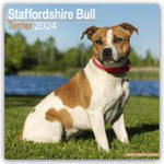 Staffordshire Bull Terrier - Staffordshire Bull Terrier 2024 - 16-Monatskalender w sklepie internetowym Libristo.pl