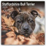 Staffordshire Bull Terrier Puppies - Staffordshire Bull Terrier Welpen 2024 - 16-Monatskalender w sklepie internetowym Libristo.pl