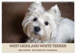 WEST HIGHLAND WHITE TERRIER - DER WESTIE - EIN HUND MIT CHARISMA (Wandkalender 2024 DIN A3 quer), CALVENDO Monatskalender w sklepie internetowym Libristo.pl