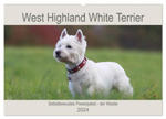 West Highland White Terrier - Selbstbewustes Powerpaket - der Westie (Wandkalender 2024 DIN A2 quer), CALVENDO Monatskalender w sklepie internetowym Libristo.pl