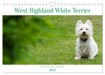 West Highland White Terrier - Your charming companion (Wall Calendar 2024 DIN A4 landscape), CALVENDO 12 Month Wall Calendar w sklepie internetowym Libristo.pl