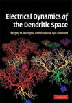 Electrical Dynamics of the Dendritic Space w sklepie internetowym Libristo.pl