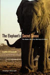 Elephant`s Secret Sense - The Hidden Life of the Wild Herds of Africa w sklepie internetowym Libristo.pl