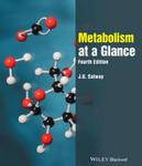 Metabolism at a Glance 4e w sklepie internetowym Libristo.pl