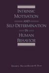 Intrinsic Motivation and Self-Determination in Human Behavior w sklepie internetowym Libristo.pl