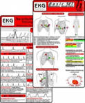 EKG Basic Set (2er Set) - Herzrhythmusstörungen, EKG Auswertung - Medizinische Taschen-Karte w sklepie internetowym Libristo.pl