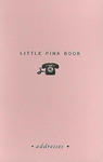 Little Pink Book Little Pink Book(address) w sklepie internetowym Libristo.pl