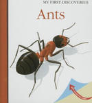 Moonlight Publishing - Ants w sklepie internetowym Libristo.pl