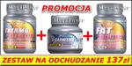 TREC Fat Burner 90 kap. + L-karnityna 90 kap. + Fat Transporter w sklepie internetowym MegaPower.pl