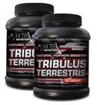 HI TEC Tribulus Terrestris 100 kap. + 60 kap GRATIS w sklepie internetowym MegaPower.pl