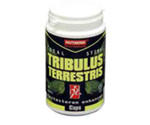 NUTREND Tribulus Terrestris 120 kap. w sklepie internetowym MegaPower.pl