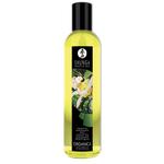 Organiczny olejek do masażu - Shunga Massage Oil Organica Erotic Green Tea Zielona Herbata w sklepie internetowym PokojRozkoszy.pl 