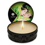 Świeca do masażu - Shunga Massage Candle zielona herbata w sklepie internetowym PokojRozkoszy.pl 