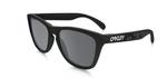 Oakley Okulary FROGSKINS B1B COLLECTION Matte Black/Black Iridium OO9013-46 - OO9013-46 w sklepie internetowym O-Shop.com