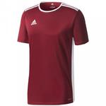 Koszulka dla dzieci adidas Entrada 18 Jersey JUNIOR bordowa CE9564 w sklepie internetowym Maronix.pl