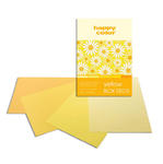 Blok A4 Happy Color Deco Yellow 170g 20k x1 w sklepie internetowym papierA4.pl