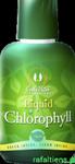 Liquid Chlorophyll CaliVita 473 ml Chlorofilina z lucerny siewnej w sklepie internetowym Rafaltiens.istore.pl