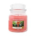 Yankee Candle The Last Paradise świeczka zapachowa 411 g unisex w sklepie internetowym ELNINO PARFUM
