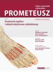 Prometeusz Atlas Anatomii Człowieka. Nomenklatura Angielska Tom 1 w sklepie internetowym Ksiazki-medyczne.eu