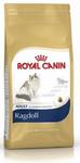 Royal Canin Ragdoll Adult karma sucha dla kotów dorosłych rasy ragdoll 2kg w sklepie internetowym Taka karma