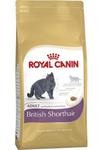 Royal Canin British Shorthair Adult karma sucha dla kotów dorosłych rasy brytyjski krótkowłosy 4kg w sklepie internetowym Taka karma