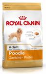 Royal Canin Poodle Adult karma sucha dla psów dorosłych rasy pudel miniaturowy 1,5kg w sklepie internetowym Taka karma