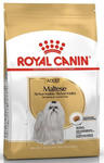 Royal Canin Maltese Adult karma sucha dla psów dorosłych rasy maltańczyk 500g w sklepie internetowym Taka karma