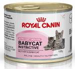 Royal Canin Mother & Babycat Mousse karma mokra - mus dla kociąt i kotek karmiących puszka 195g w sklepie internetowym Taka karma