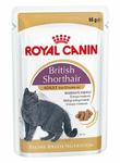 Royal Canin British Shorthair karma mokra w sosie dla kotów dorosłych rasy brytyjski krótkowłosy saszetka 85g w sklepie internetowym Taka karma