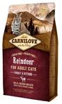 Carnilove Cat Reindeer Energy & Outdoor - renifer 2kg w sklepie internetowym Taka karma