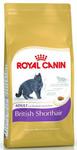 Royal Canin British Shorthair Adult karma sucha dla kotów dorosłych rasy brytyjski krótkowłosy 2kg w sklepie internetowym Taka karma