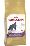 Royal Canin British Shorthair Adult karma sucha dla kotów dorosłych rasy brytyjski krótkowłosy 10kg w sklepie internetowym Taka karma