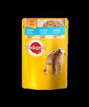 Pedigree Junior z kurczakiem w galaretce saszetka 100g w sklepie internetowym egarden24.pl