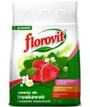 Nawóz FLOROVIT truskawka i poziomka 1kg w sklepie internetowym egarden24.pl