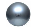 Thera-Band Professional Exercise Ball ABS 23050 piłka rehabilitacyjna 85 cm srebrna w sklepie internetowym Artykuły medyczne