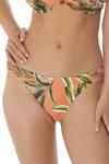 Birds in Paradise - Freya Swim - figi brazylijskie AS6866 - melon w sklepie internetowym Adore.pl 