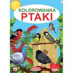 Kolorowanka A4 – PTAKI, 32 str. produkt POLSKI w sklepie internetowym Polskie-zabawki.pl